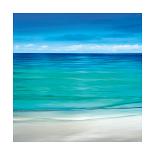 Paradise I-Jennifer Bailey-Stretched Canvas