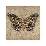 Tiger Butterfly-Jennifer Brice-Giclee Print