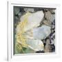 Gramercy White