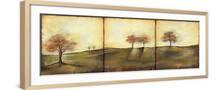 Brown Frame