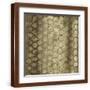 Brown Frame