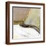 Brown Frame