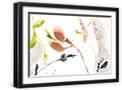 Black Frame