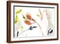 Brown Frame