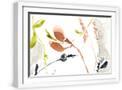 White Frame