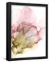 Essential Black