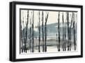 Black Frame