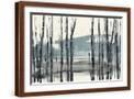 Brown Frame