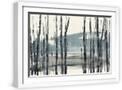 White Frame