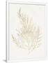 Gramercy White