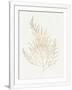Gramercy White