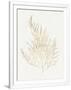 Gramercy White