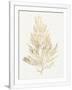 Gramercy White