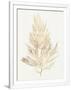 Gramercy White