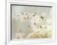 Gramercy White