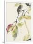 Gramercy White