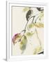 Gramercy White