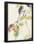 Essential Black