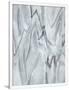 Gramercy White