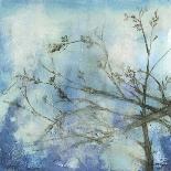 Moonlit Branches II-Jennifer Goldberger-Art Print
