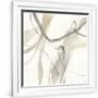Gramercy White