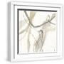 Chelsea White