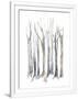 Gramercy White