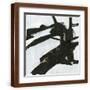 Brown Frame