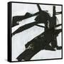 Canvas Black