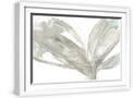 White Frame