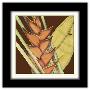 Gallery Pops Black Frame