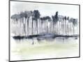 Wood Mount