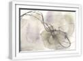 White Frame