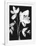Gramercy White