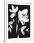 Gramercy White