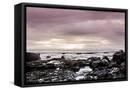 Framed Canvas
