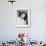 Jennifer Jones (photo)-null-Framed Photo displayed on a wall