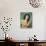 Jennifer Jones (photo)-null-Stretched Canvas displayed on a wall