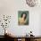 Jennifer Jones (photo)-null-Mounted Photo displayed on a wall