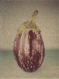 Italian Eggplant-Jennifer Kennard-Photographic Print