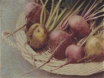 Kay's Beets-Jennifer Kennard-Photographic Print