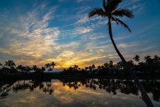 Tropical Morning-Jennifer Krajsek-Framed Photographic Print