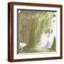 Brown Frame