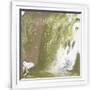 Gramercy White
