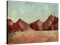 Stretched Canvas