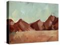 Stretched Canvas