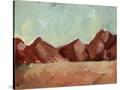 Stretched Canvas