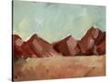 Stretched Canvas
