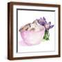 Brown Frame