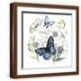 Brown Frame
